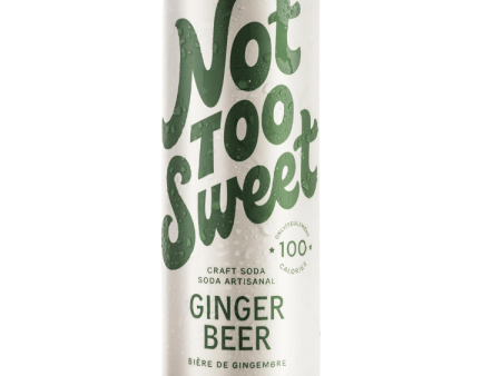 Not Too Sweet Craft Soda Ginger Beer - 355ml Online Hot Sale