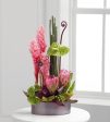 Pacific Paradise Arrangement Supply