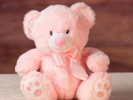 9  Baby Bear Pastel Pair Online Hot Sale