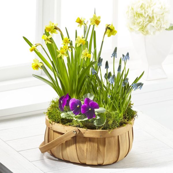 The Spring Blooms Bulb Basket Online Hot Sale