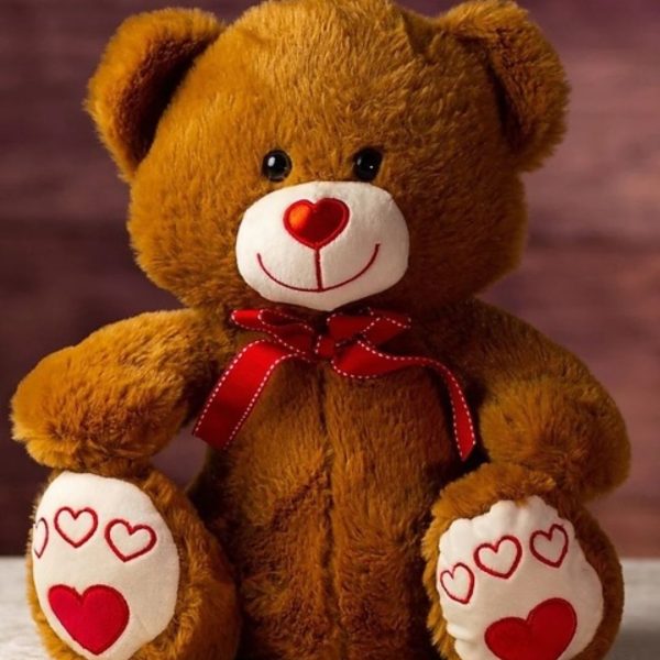 19.5  Big Time Valentine Bears For Sale