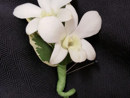 Dendro Orchid Boutonniere Fashion