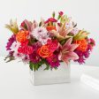 Light of My Life Box Bouquet Discount