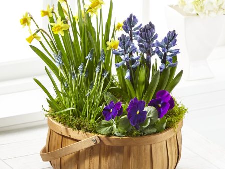 The Spring Blooms Bulb Basket Online Hot Sale