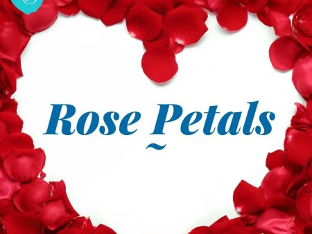 Rose Petals For Cheap