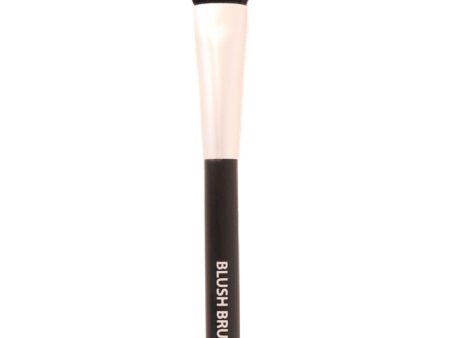 Blush Brush For Cheap