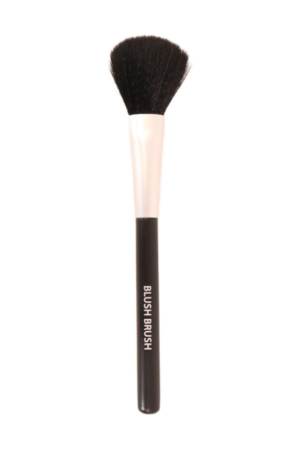 Blush Brush For Cheap