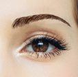 Beauty Eyebrows #2- Dark Brown Cheap