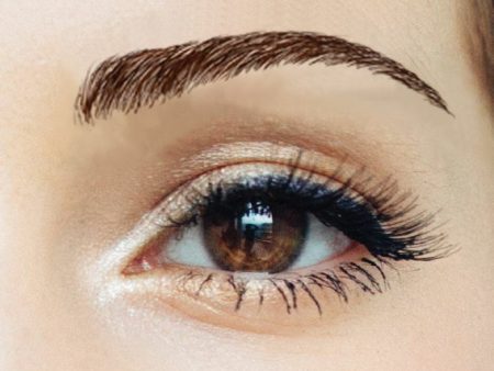 Beauty Eyebrows #2- Dark Brown Cheap