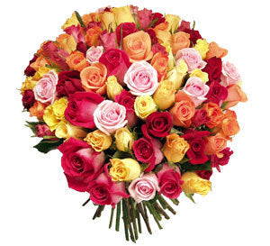 99 assorted lovely Roses Discount