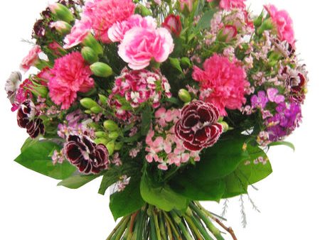 Carnations Bouquet Supply