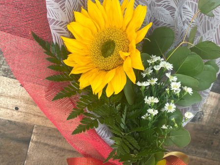 Bouquet de un Girasol Supply