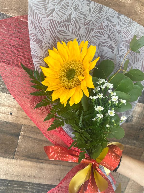 Bouquet de un Girasol Supply