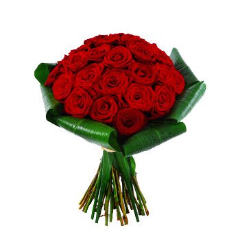 Red roses Cheap