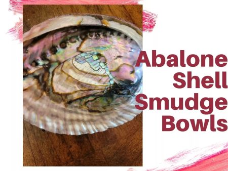 Abalone Shell Smudge Bowls Cheap