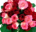 40 Red Pink Roses Online