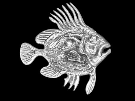 John Dory Fish Wall Hanging Cheap