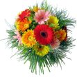 Gerbera Bouquet For Cheap