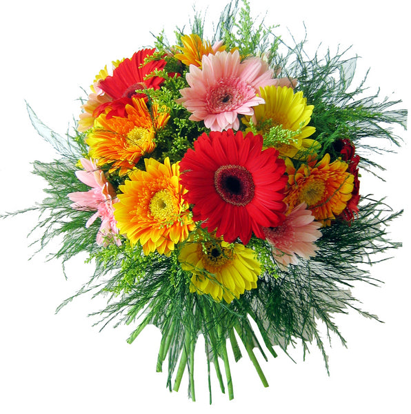 Gerbera Bouquet For Cheap