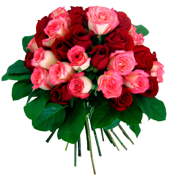 40 Red Pink Roses Online