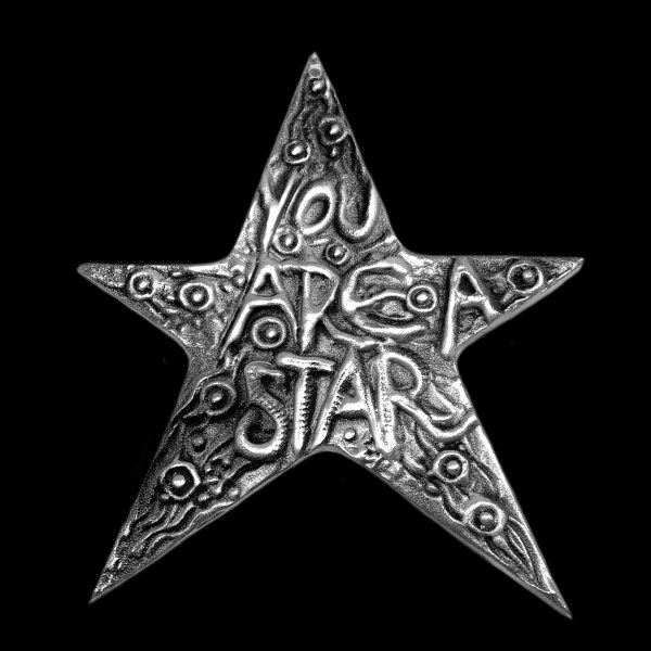 You are a Star  Wall Hanging For Sale