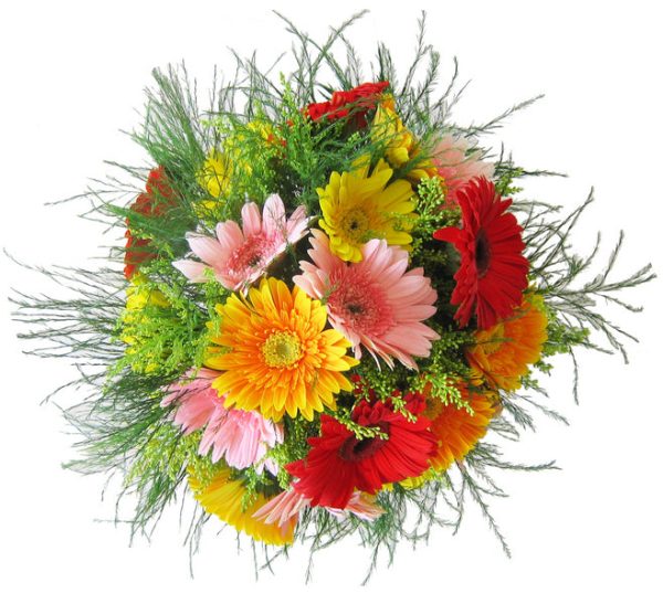 Gerbera Bouquet For Cheap