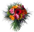 Gerbera Bouquet For Cheap