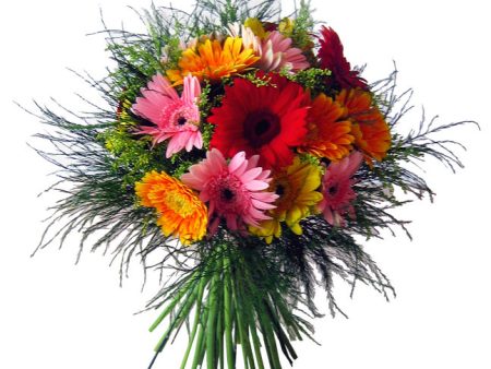 Gerbera Bouquet For Cheap